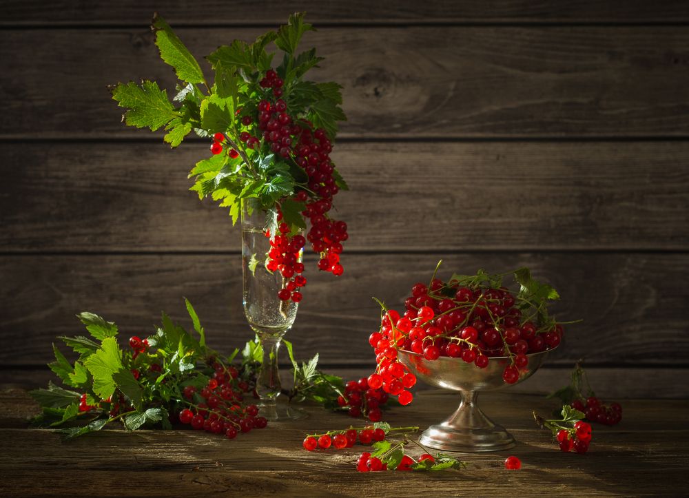 Photograph by Елена Хвойнова