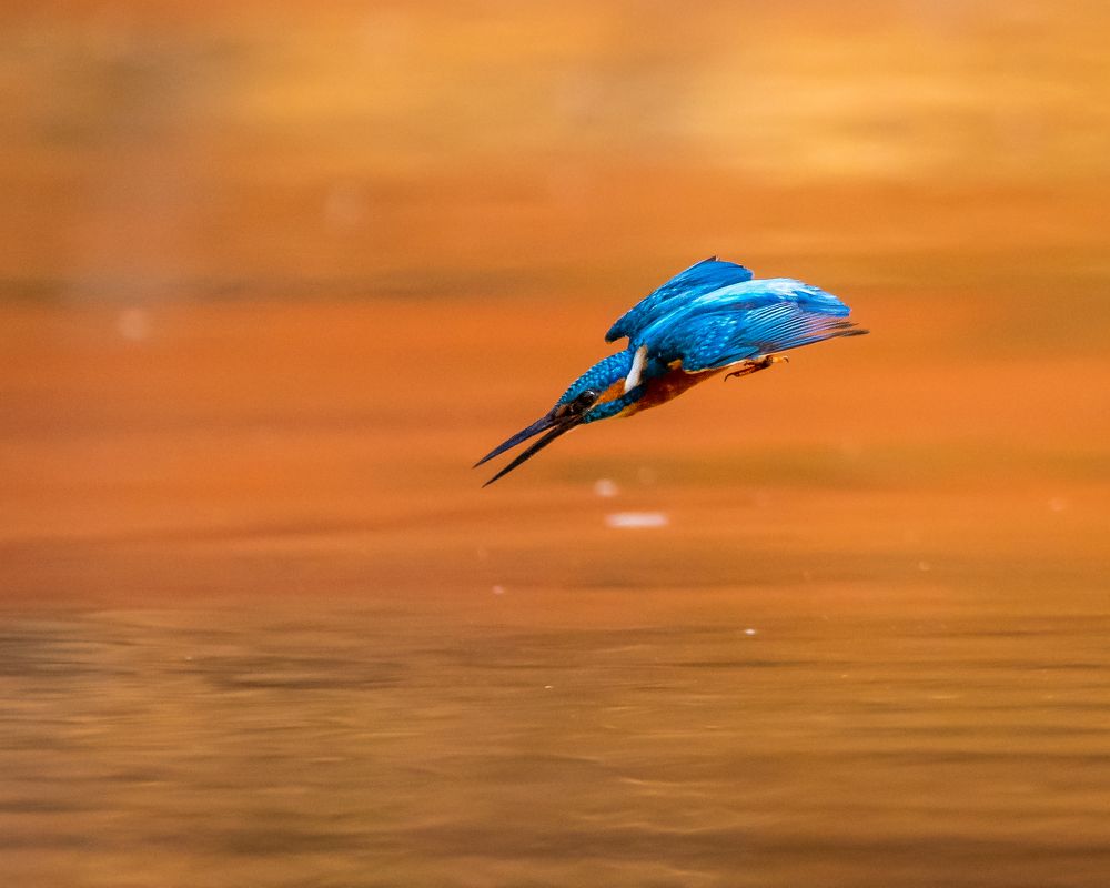 Photograph by Debashis Subudhi