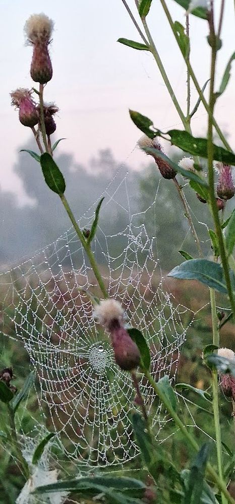 Photograph by Epp Tappel