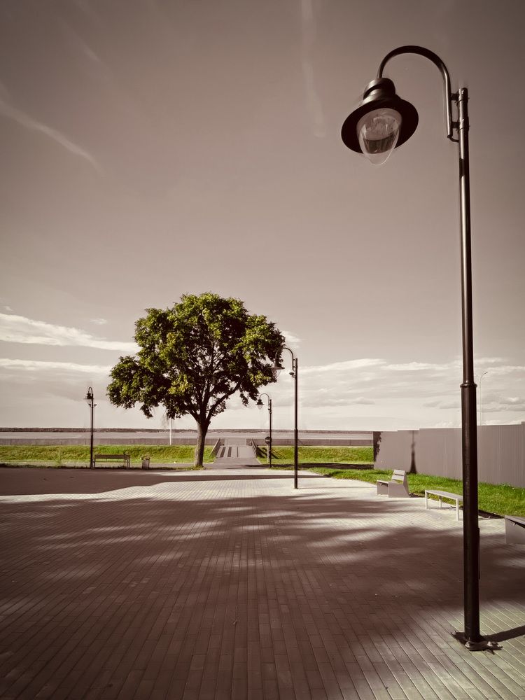 Photograph by Марина Урусова