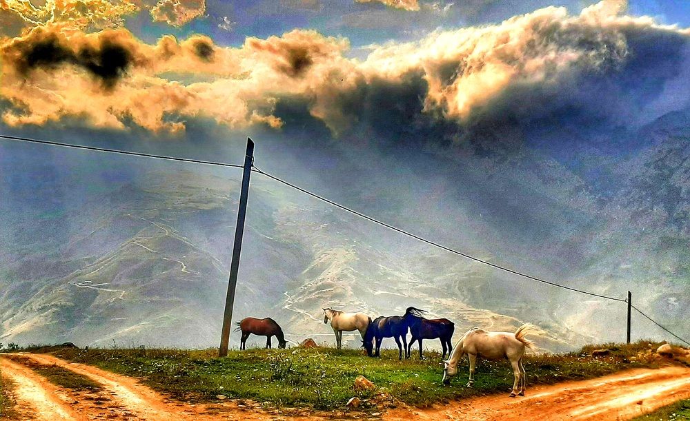сел. Нижний Задалеск, Республика Северная Осетия - Алания