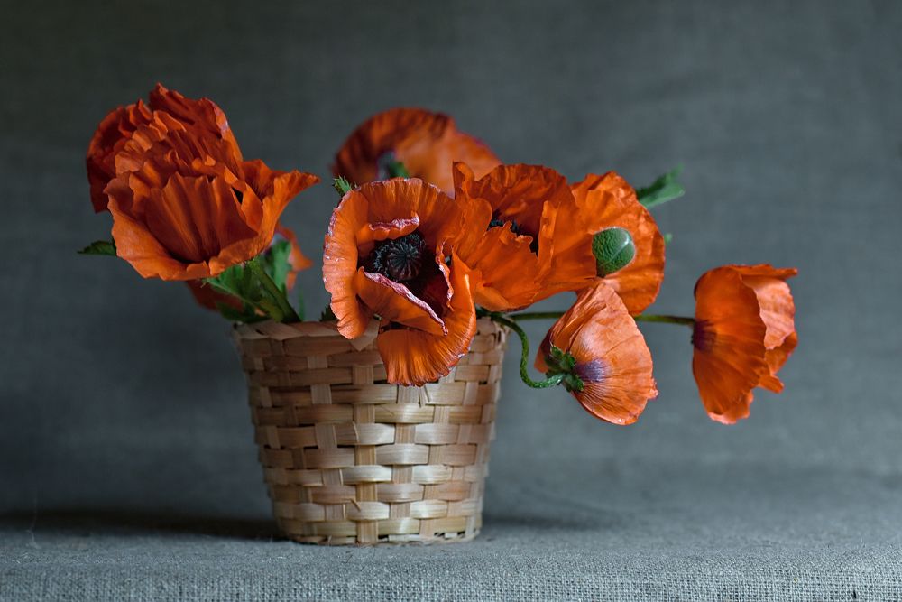 Photograph by Olga Akhmetova