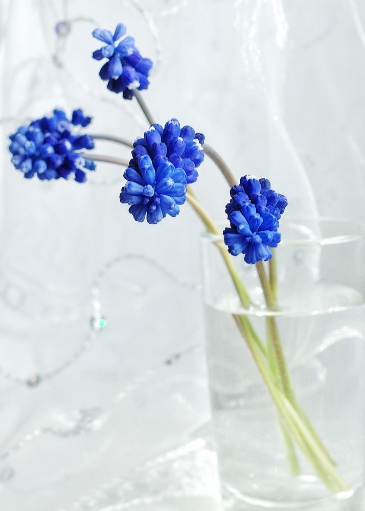 Photograph by Наталья Сафронова