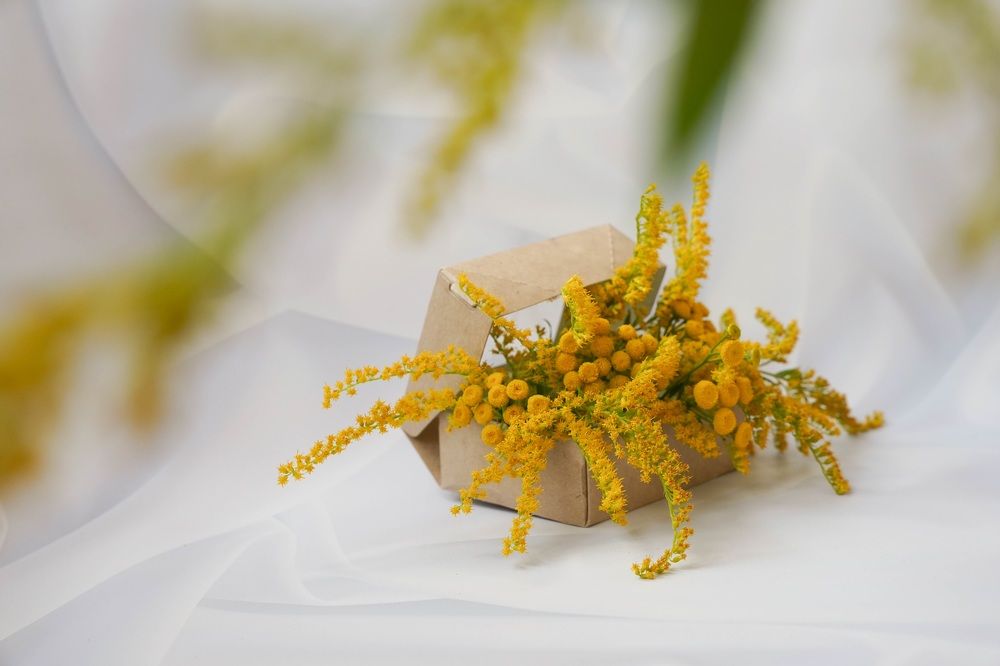 Photograph by Мария Акимова