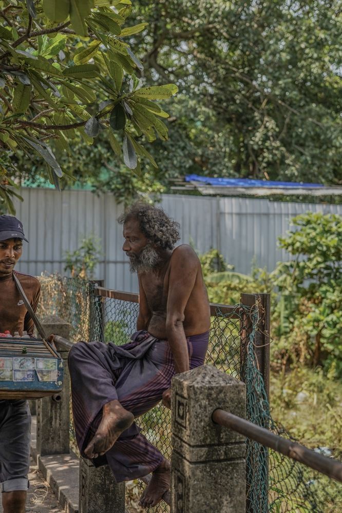 Photograph by Tharindu k