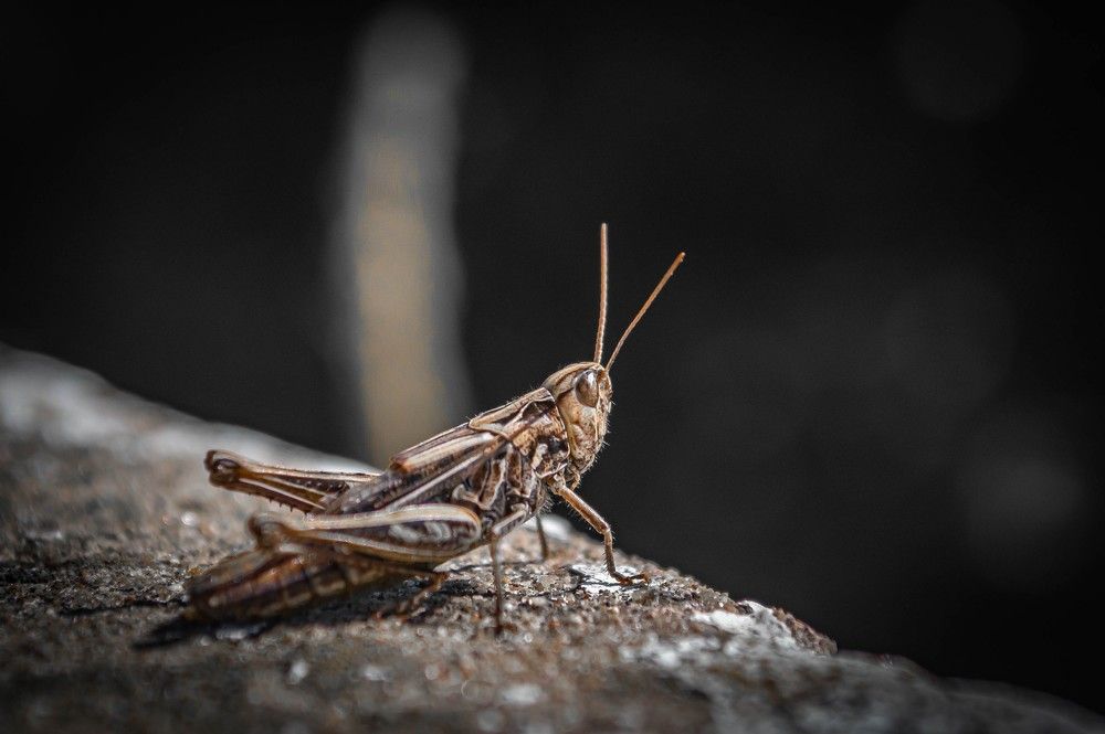 Photograph by Михаил Тюрев