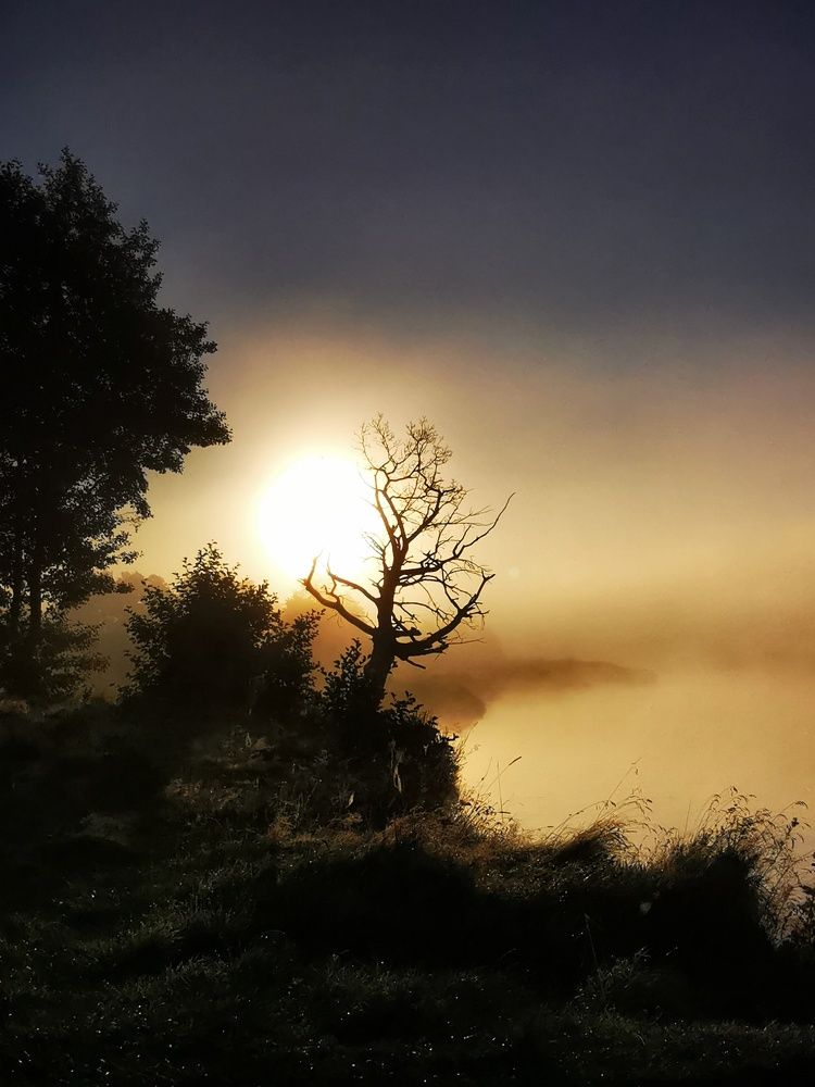 Photograph by Горбова Юлия