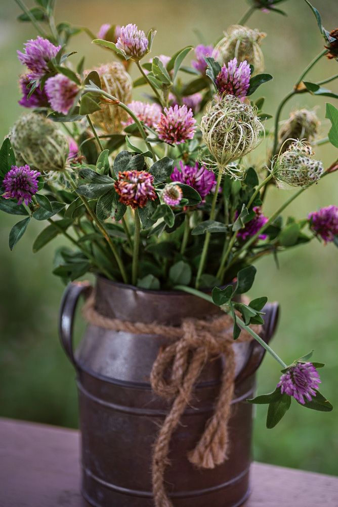 Фотография автора Алиса Чурчудесная