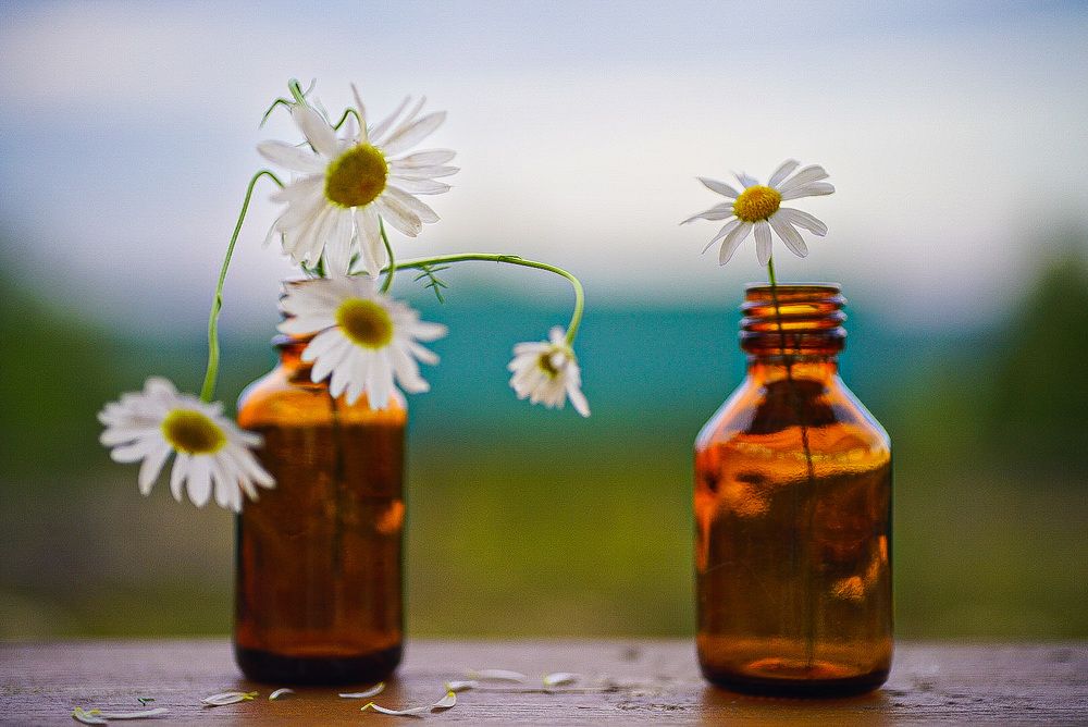 Фотография автора Алиса Чурчудесная