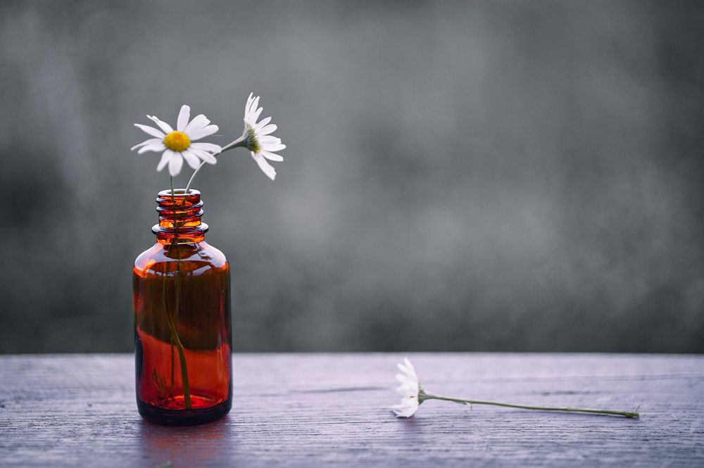 Фотография автора Алиса Чурчудесная