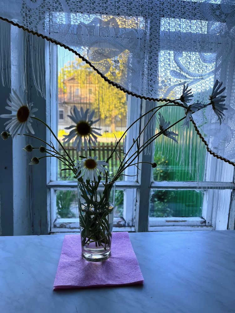 Photograph by Анатолий Протасов