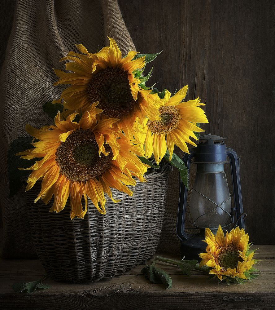 Photograph by Сергей Алексеев