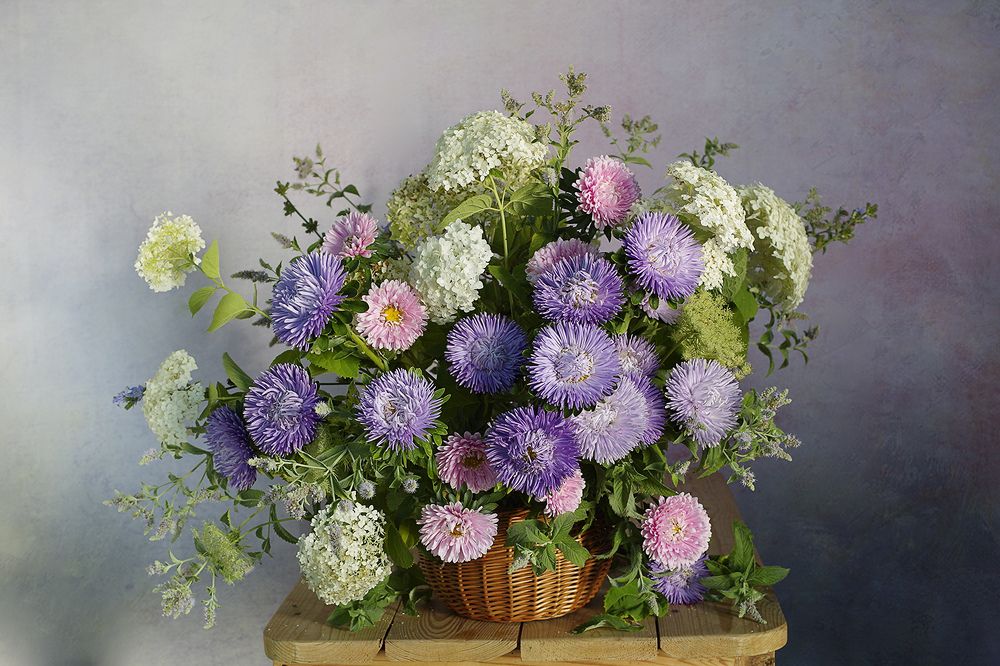 Photograph by Вера  Павлухина