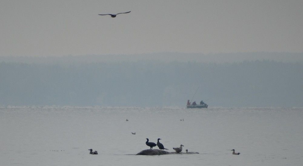 Photograph by ILONA OTRUTSKAYA