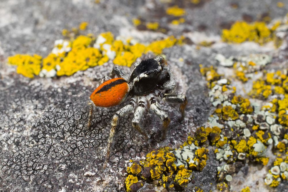 Photograph by Владимир Богданов
