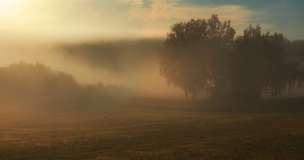 Photograph by Сергей Абашкин