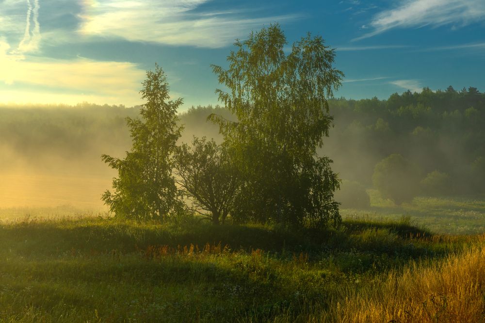 Photograph by Сергей Абашкин