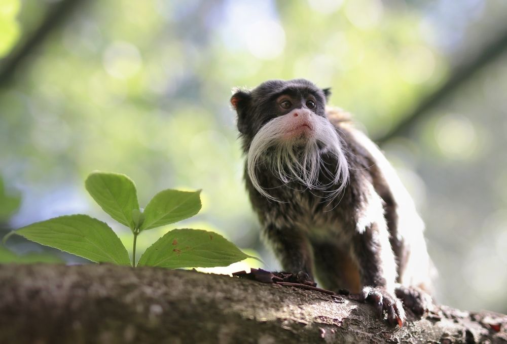 Photograph by Ирина Салминен