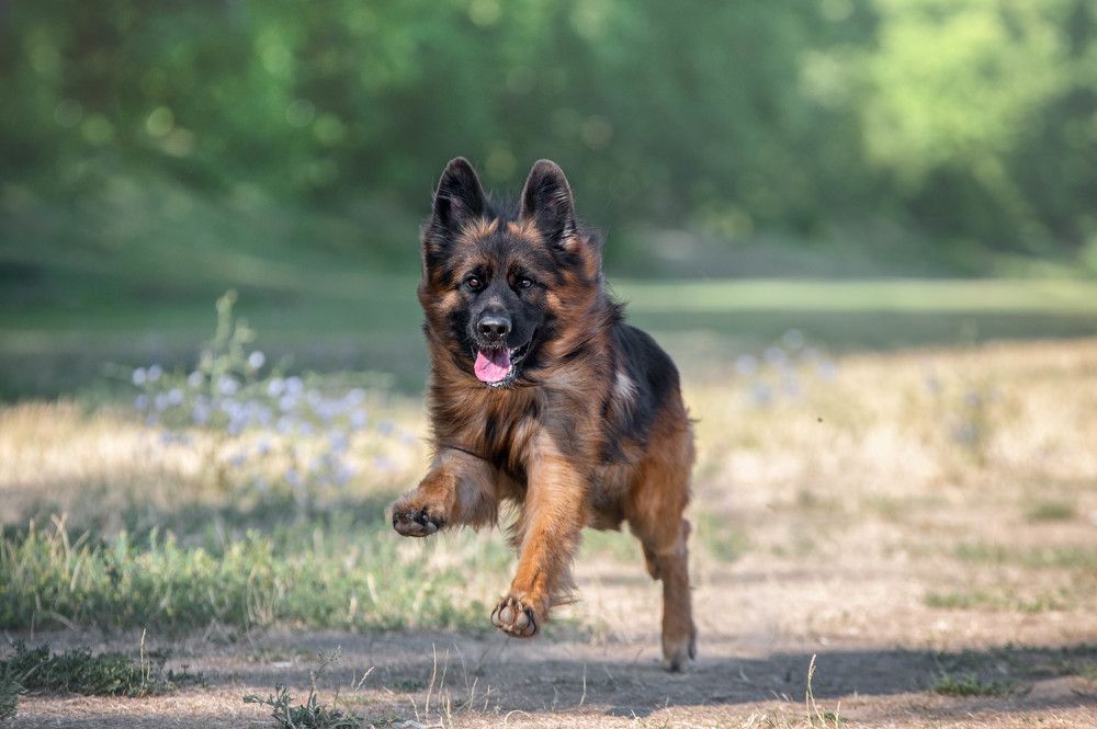 Photograph by Кристина Чижмар