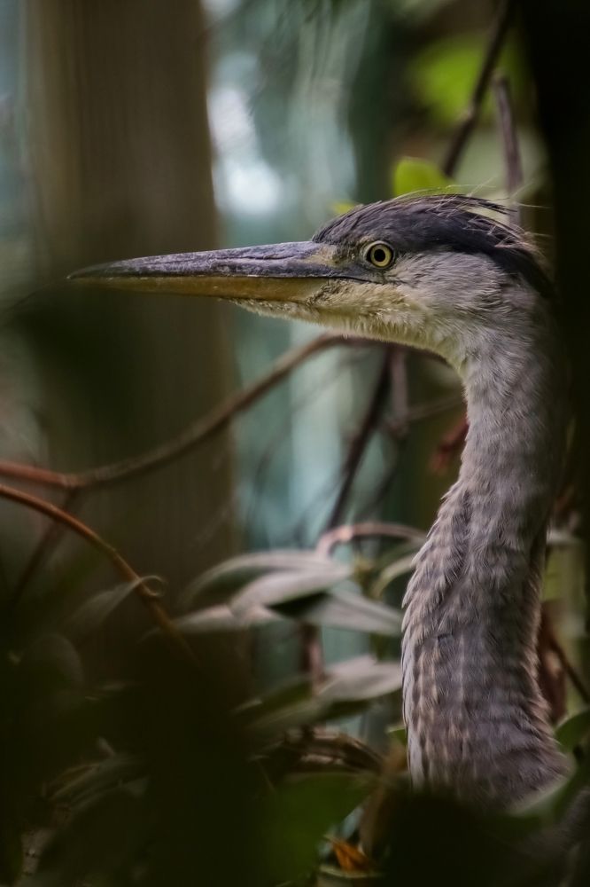 Photograph by Ирина Салминен