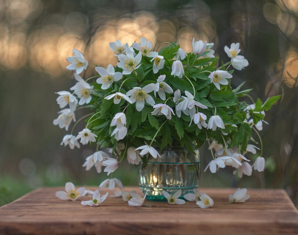 Photograph by Александр Гвоздь