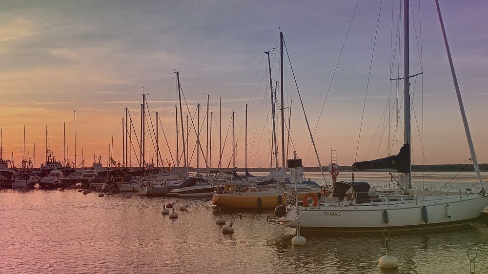 Photograph by Инна Демкив