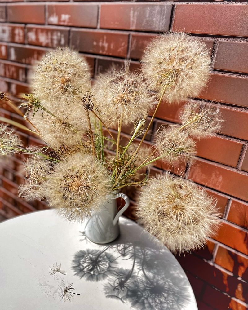 Фотография автора Рамзия Хисамутдинова