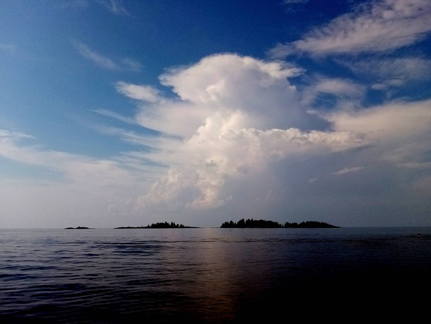 Photo #7916088