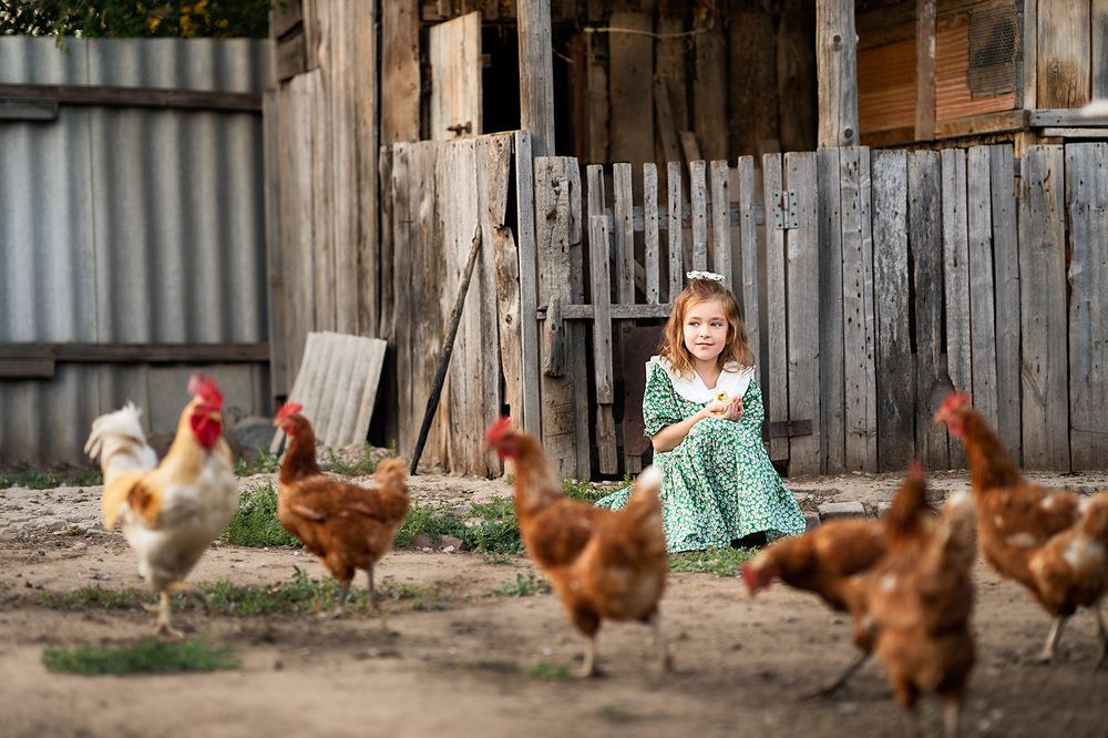 Photograph by Ирина Сибукова