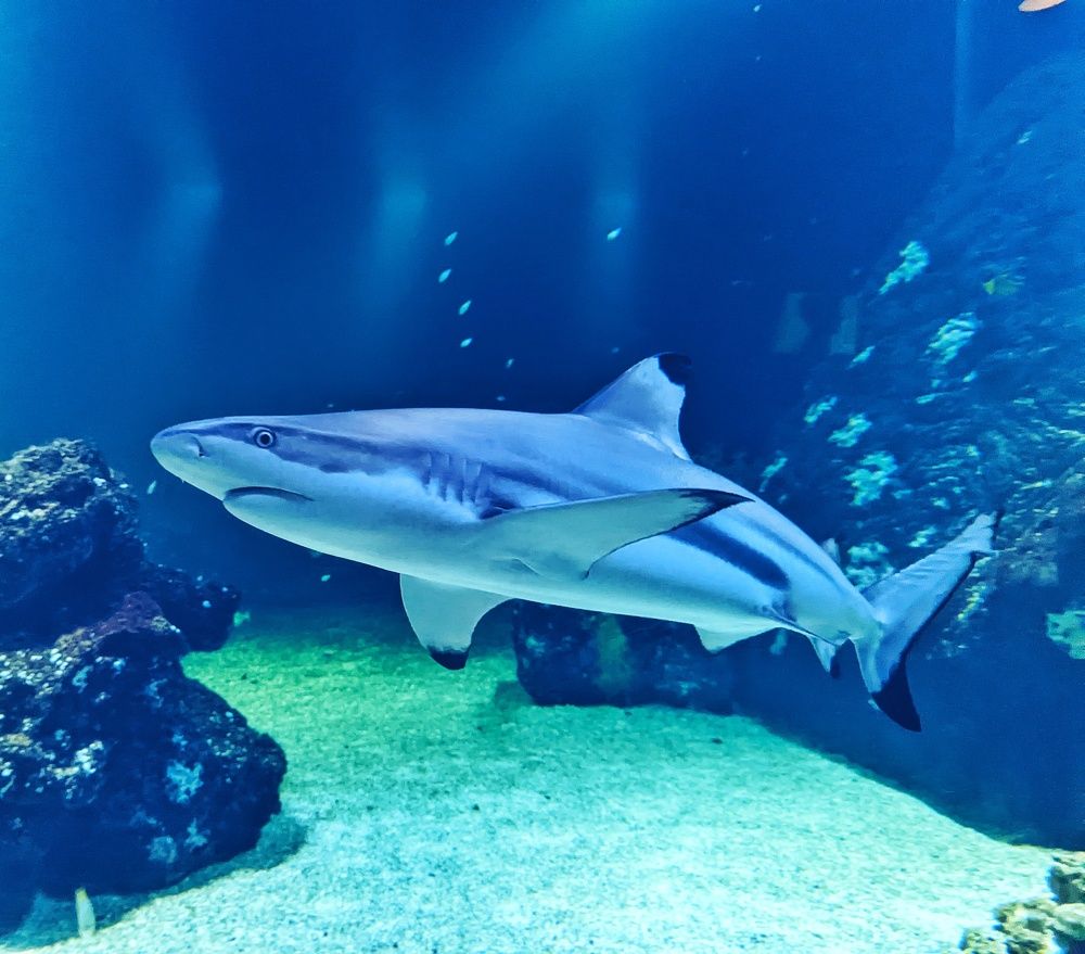 Photograph by Lejla Ombasic