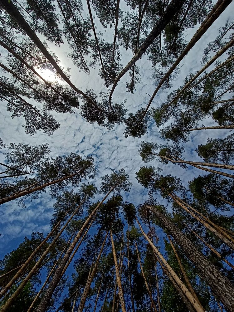 Photograph by Артём Коваль