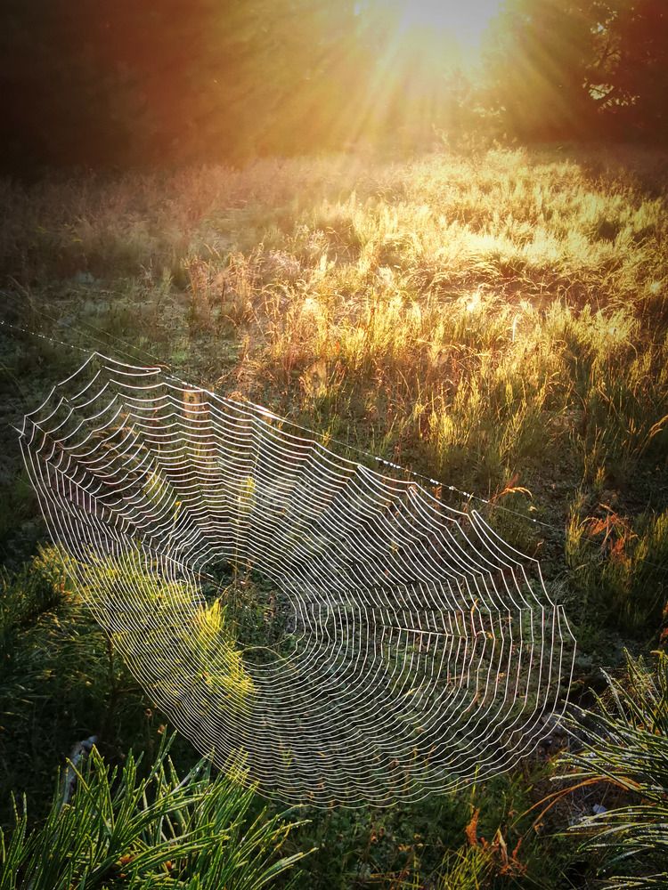 Photograph by Горбова Юлия