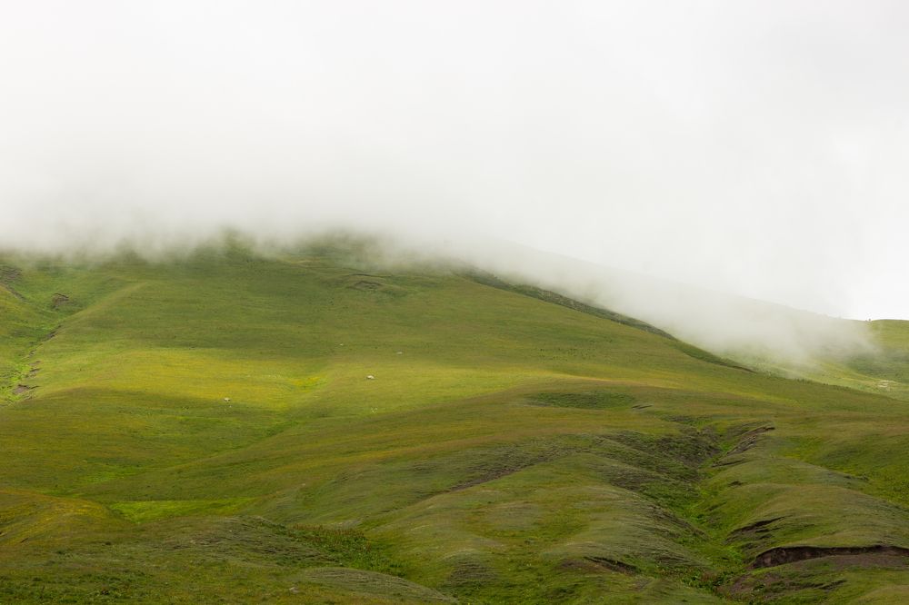Фотография автора Татьяна Нарайкина