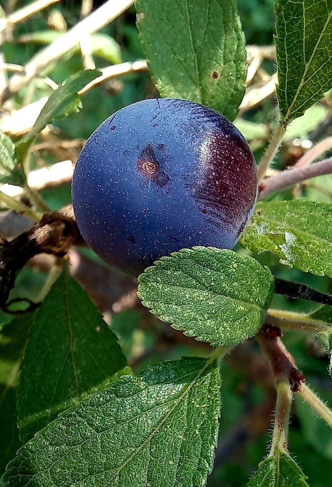 Фотография автора Татьяна Нарайкина