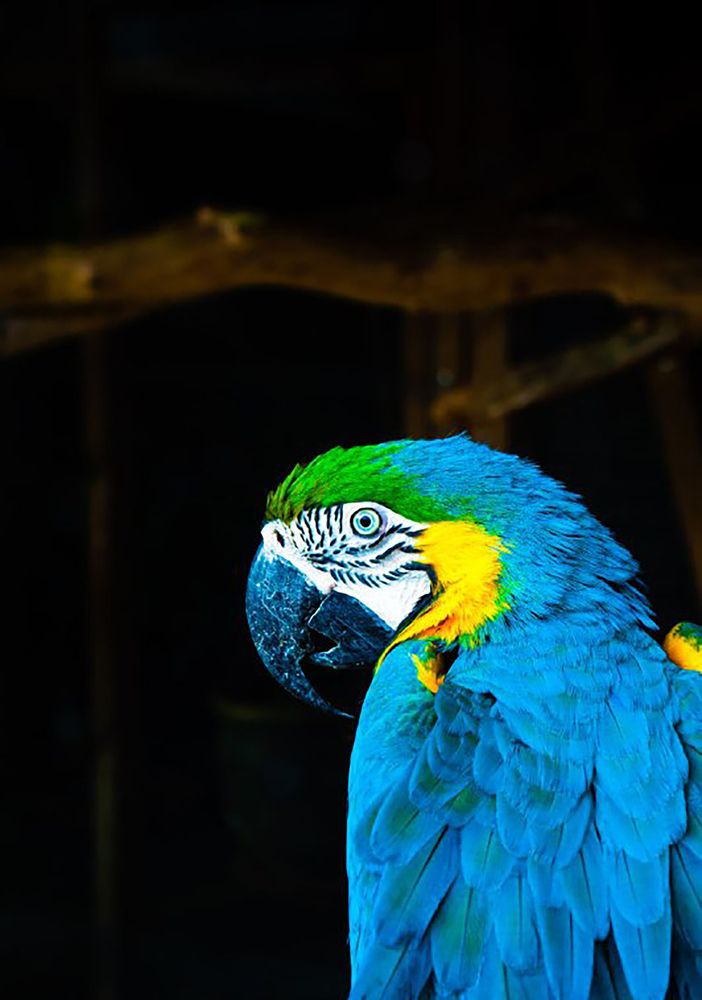 Photograph by Алексей Торопенко