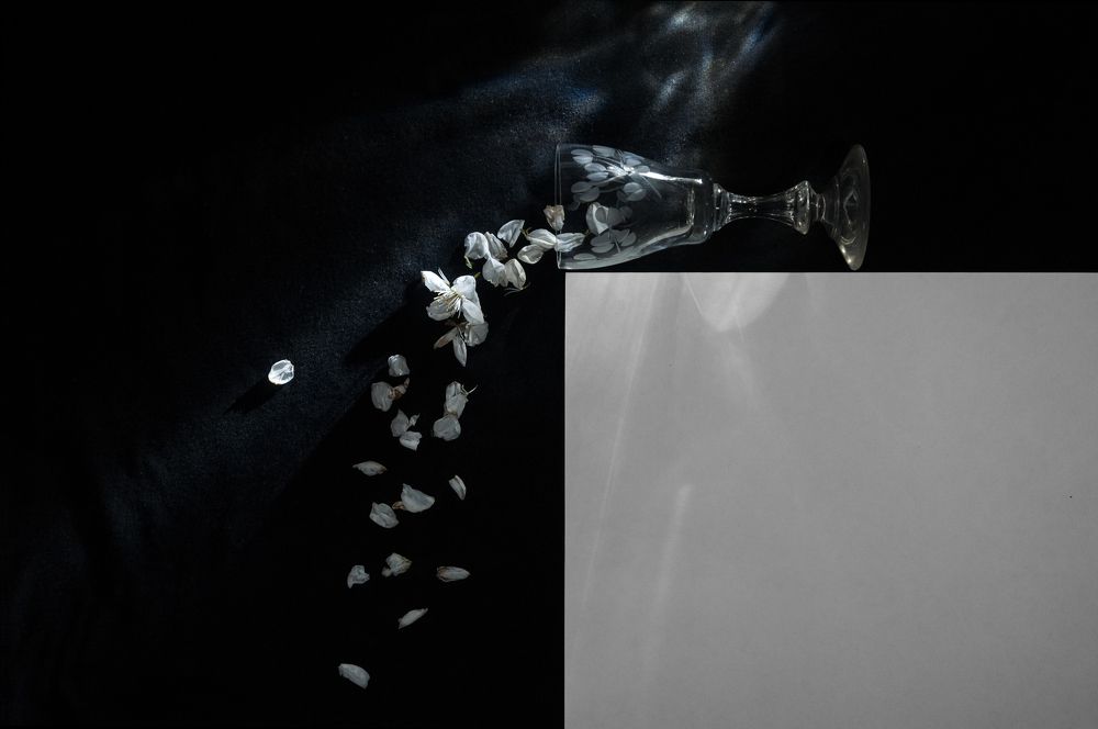 Photograph by Михаил Курихин