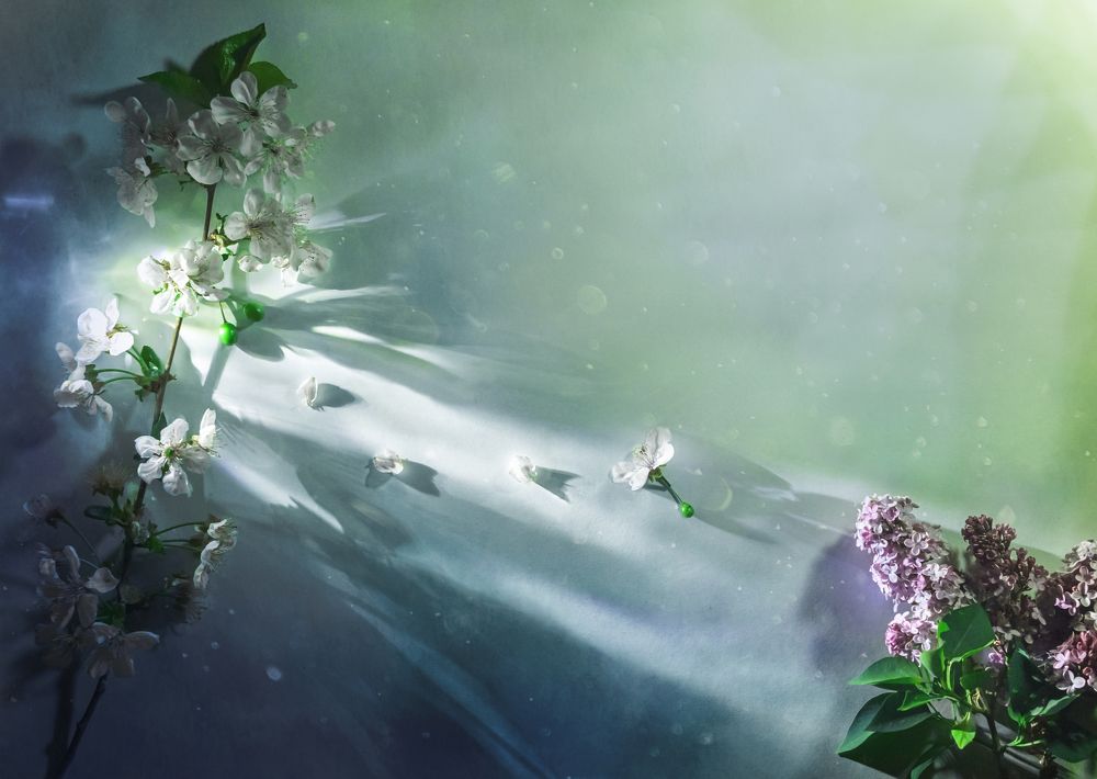 Photograph by Михаил Курихин