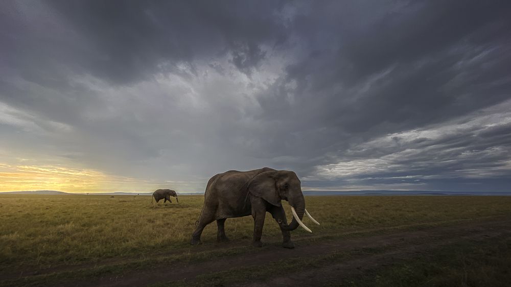 Photograph by Jayakumar MN