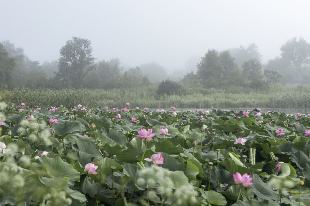 Фотография автора Денис Котренко