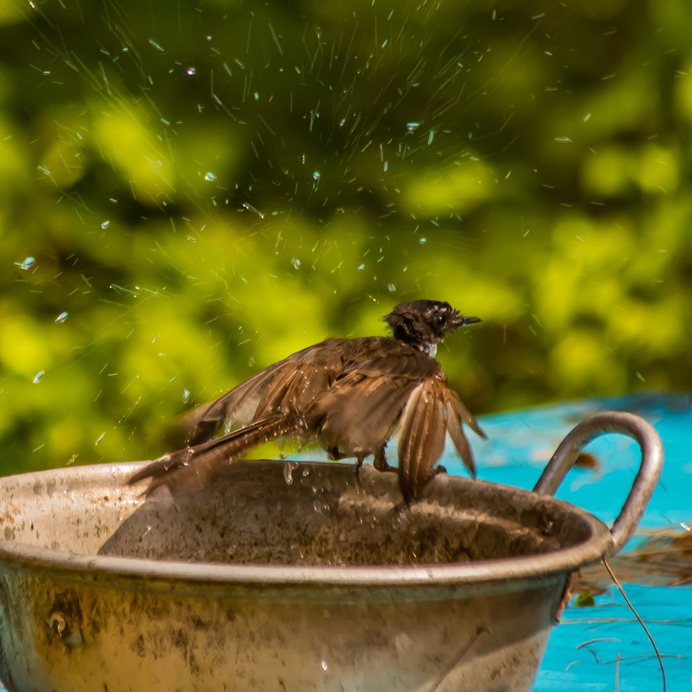 Photograph by Hưng Nguyễn Hải