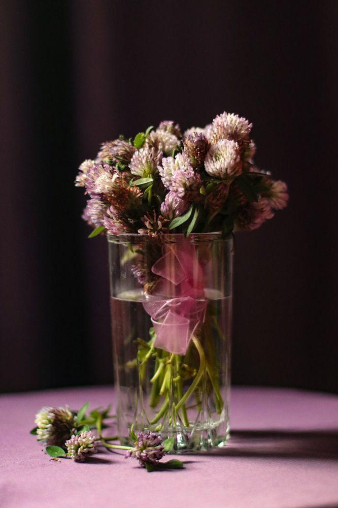 Photograph by Виктория Санкина