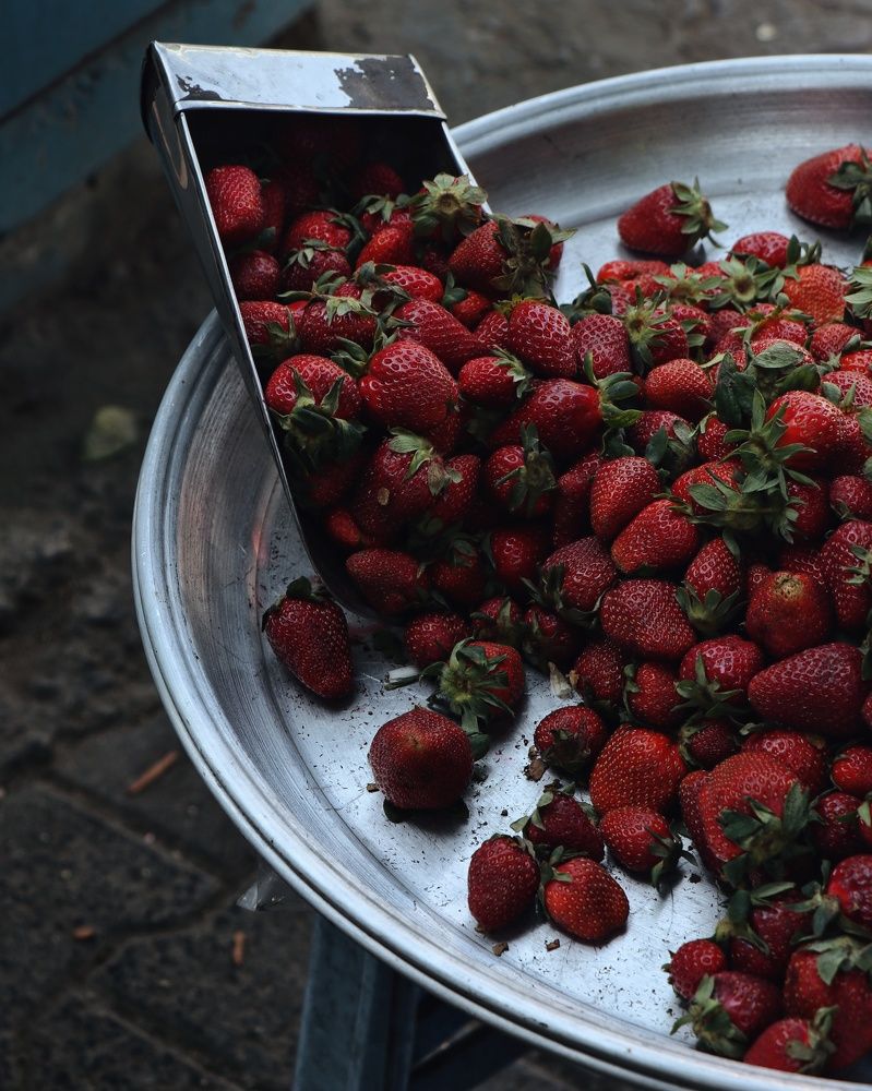 Photograph by Mostafa Mortazavi