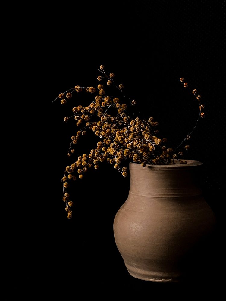 Фотография автора Olga Kichkaila