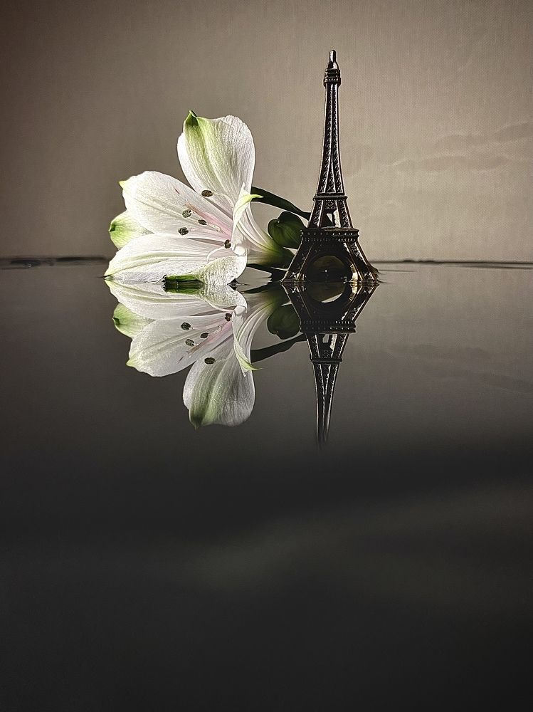 Фотография автора Olga Kichkaila