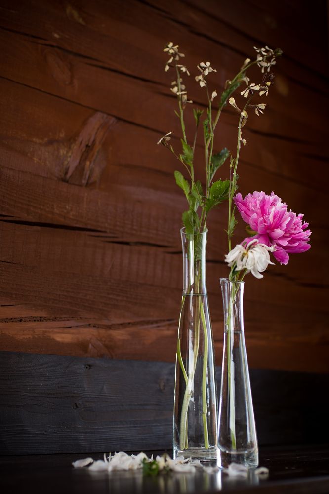 Photograph by TATYANA PEREVALOVA