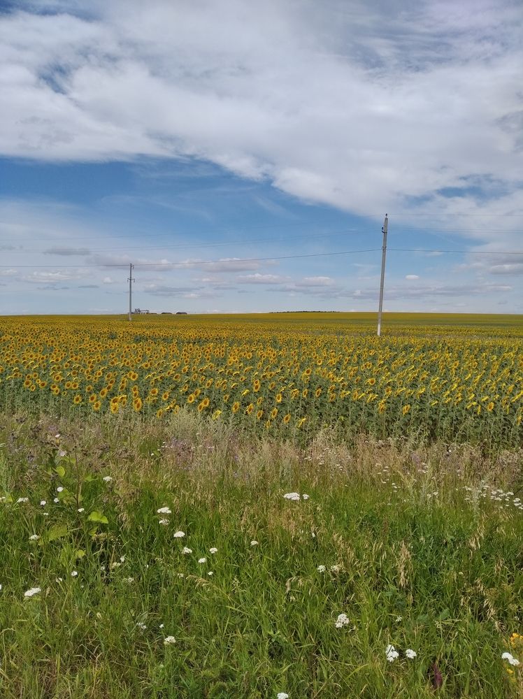 Photograph by Михаил