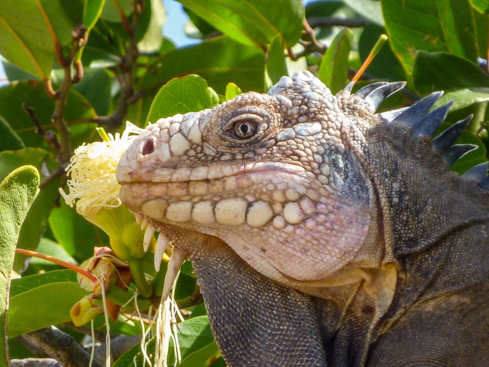 Photograph by Harold