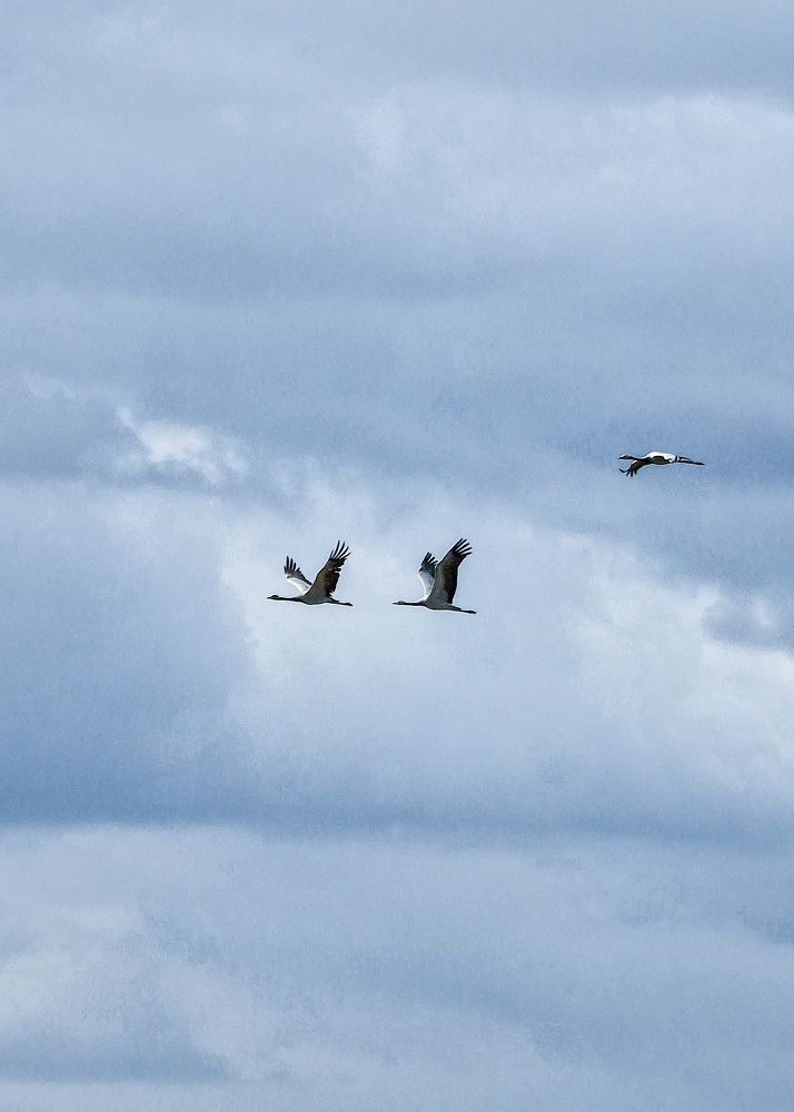 Photograph by Любовь