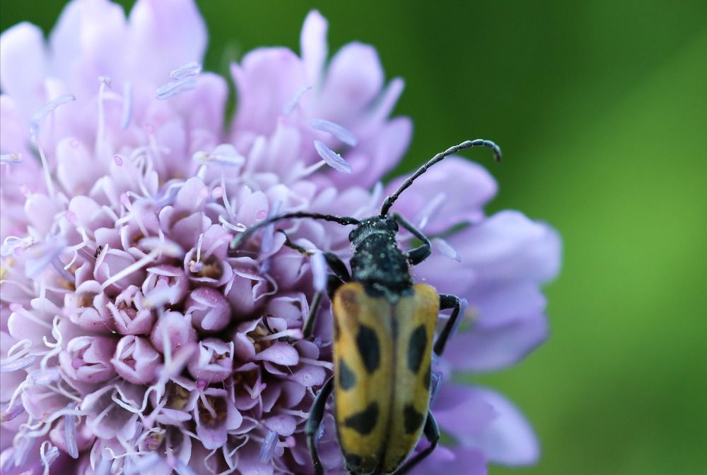 Photograph by Юлия Чиботарь