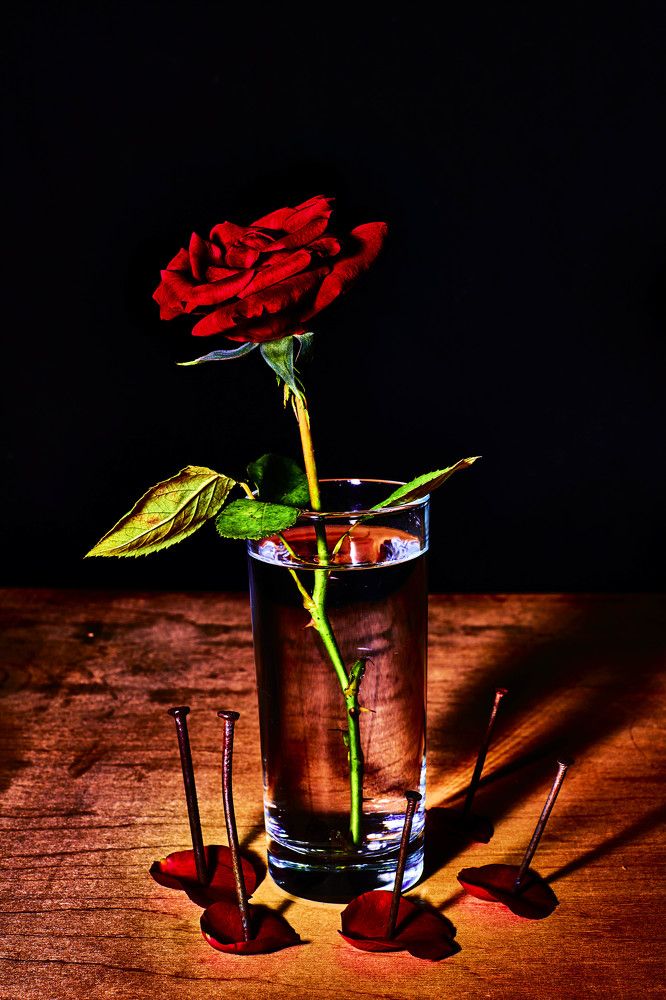 Photograph by Aleksei Demchenko